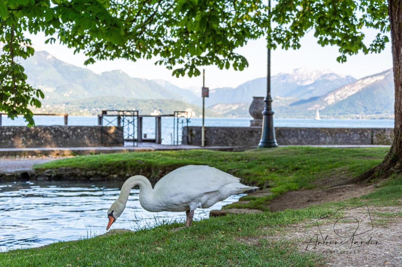 L'Amedee - Appt A 500M Du Lac Annecy Exterior foto